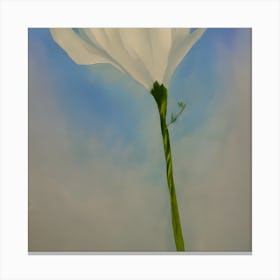 A Beautiful Delicate Painting (5) (1) Canvas Print