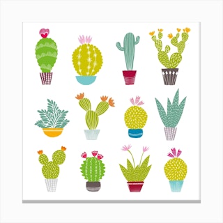 Cacti Collection Square Canvas Print