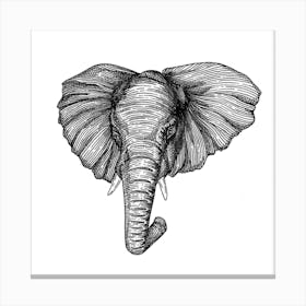 Elephant Square Canvas Print