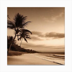 Palm Trees On The Beach 6 Canvas Print