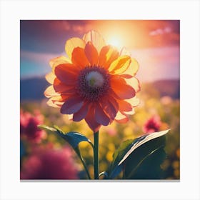 Sunset Flower 3 Canvas Print