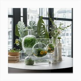 Terrariums Canvas Print