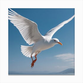 A White Bird Flying Over Ocean Canvas Print