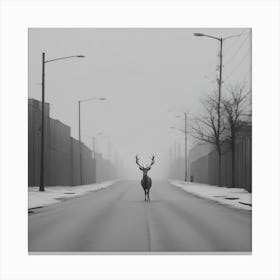 Deer In The Street Canvas Print