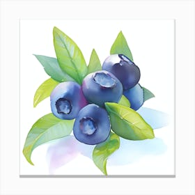 Blueberry Canvas Print