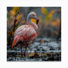 Flamingo 60 Canvas Print