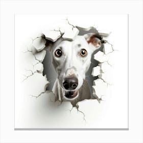 Greyhound Dog 1 Canvas Print