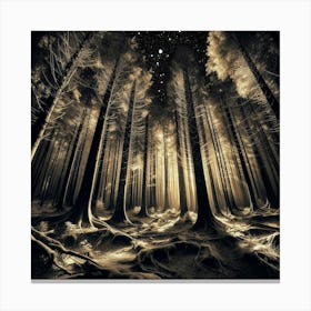 Dark Forest 25 Canvas Print