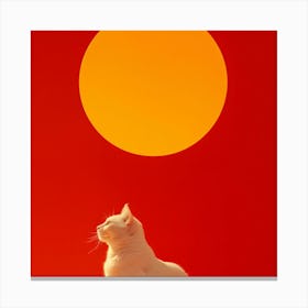 Cat In Front Of The Sun Canvas Print