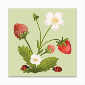 Woodland strawberry branch Canvas Print