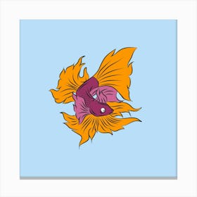 Betta Fish 1 Canvas Print