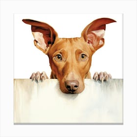 Dachshund 24 Canvas Print