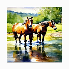 Horses In Water Canvas Print