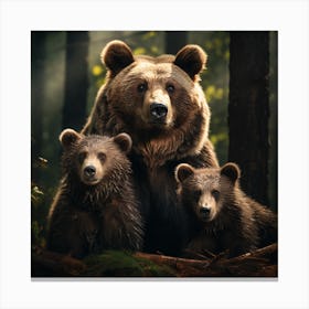 Grizzly Bear Family Portrait In Evening Sun Canvas Print