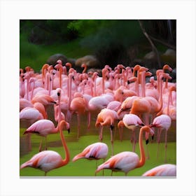 PINK FLAMINGOS Canvas Print