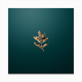 Gold Botanical Buxus Colchica Twig on Dark Teal n.1155 Canvas Print