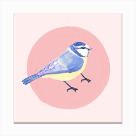 Blue Tit Canvas Print