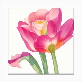 Tulip Rose Painted In Watercolor 1 1 Canvas Print