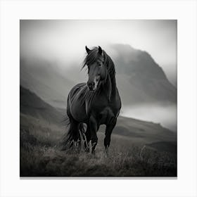 Black Horse Canvas Print