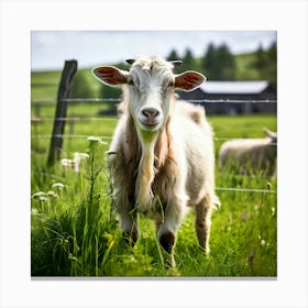 Grass Ecology Pasture Cattle Farmer Tour Tourism Country Rural Green Goat Farm Eco White (4) Canvas Print