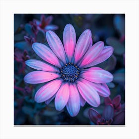 Purple Daisy Canvas Print