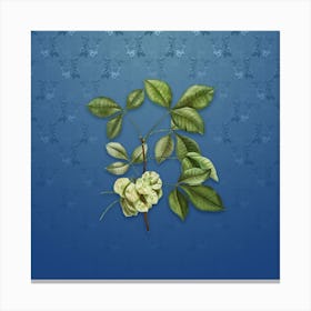 Vintage Common Hoptree Botanical on Bahama Blue Pattern n.0264 Canvas Print