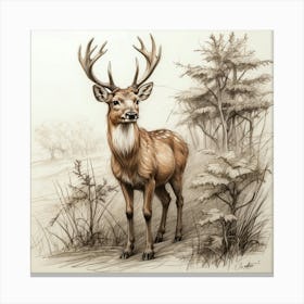 Deer! 67 Canvas Print