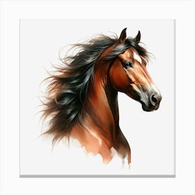 Horse Head 2 Canvas Print