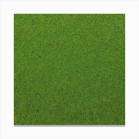 Grass Flat Surface For Background Use (53) Canvas Print