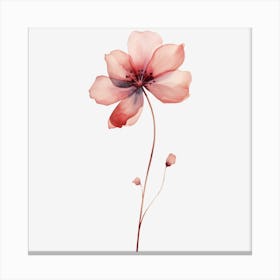 Pomegranate Flower Canvas Print