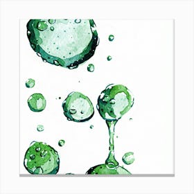 Water Droplets 1 Canvas Print