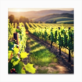 Vineyard At Sunset Canvas Print