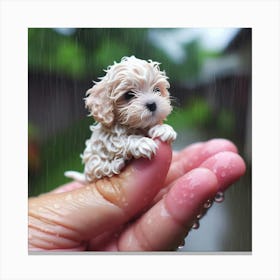 Tiny Puppy In Rain Canvas Print