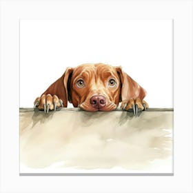 Vizsla Dog Canvas Print