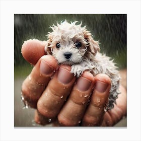 Puppy In The Rain Canvas Print