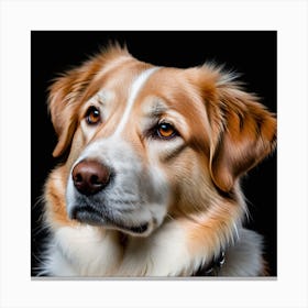 Portrait Of A Dog 5 Canvas Print