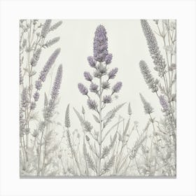 Lilacs Canvas Print