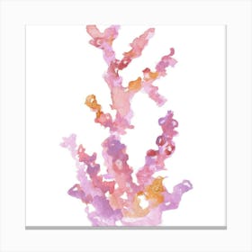 Coral Reef Canvas Print