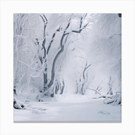 Snowy Forest 1 Canvas Print