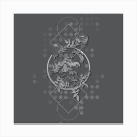 Vintage Rose of the Hedges Botanical with Line Motif and Dot Pattern in Ghost Gray n.0256 Canvas Print