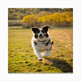 Dog Running In The Park Canvas Print