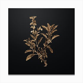 Gold Botanical Garden Sage on Wrought Iron Black n.3980 Canvas Print