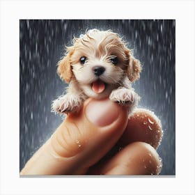 Puppy In Rain Canvas Print