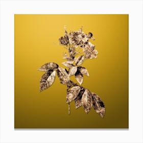 Gold Botanical Boursault Rose on Mango Yellow n.0071 Canvas Print