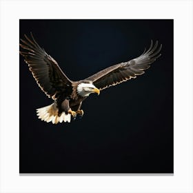 Bald Eagle In Flight Canvas Print