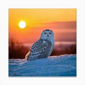 Firefly Majestic Snowy Owl In Serene Winter Sunrise 16325 (2) Canvas Print