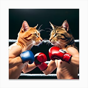 Boxing Cats Canvas Print