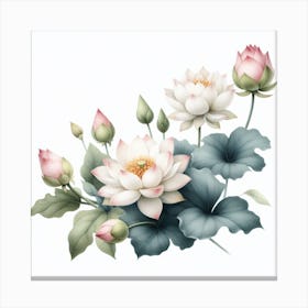 Lotuses 3 Canvas Print