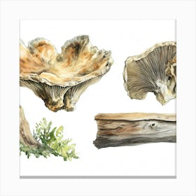 Fungus 4 Canvas Print