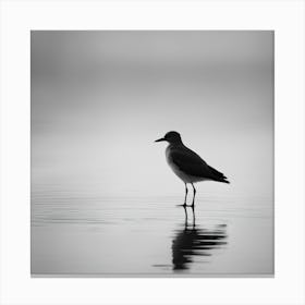 Sandpiper 3 Canvas Print